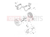 TRIUMPH TRIDENT 660cc CB1390 > CN4039 Alternator & Starter Motor