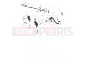 Rear Master Cylinder - Triumph TF250-C 2025