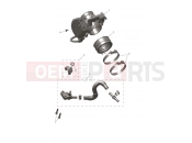 Throttle Bodies - Triumph TF250-E 2025