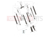 Front Forks & Lower Yoke - Triumph TF250-E 2025