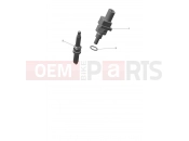 Engine Management System - Triumph TF250-E 2025