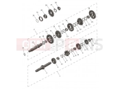 Transmission - Triumph TF250-C 2026