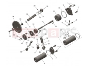 Lubrication System - Triumph TF250-E 2025