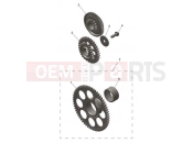 Starter Drive Gears - Triumph TF450-E 2026